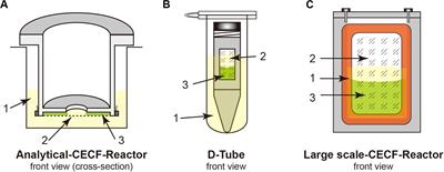 Functional Analysis of Aquaporin Water Permeability Using an Escherichia coli-Based Cell-Free Protein Synthesis System